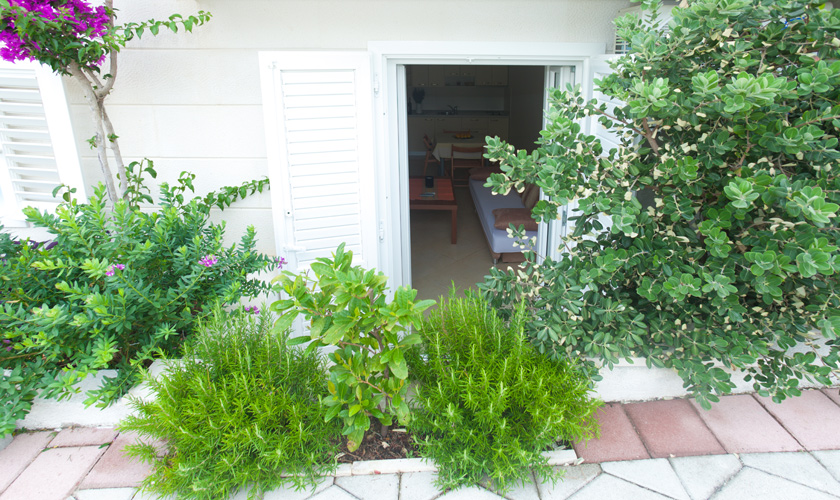 Balcony with plants